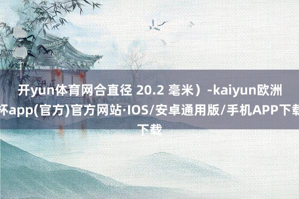 开yun体育网合直径 20.2 毫米）-kaiyun欧洲杯app(官方)官方网站·IOS/安卓通用版/手机APP下载