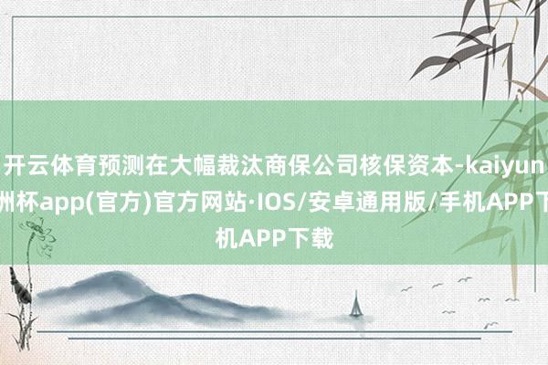 开云体育预测在大幅裁汰商保公司核保资本-kaiyun欧洲杯app(官方)官方网站·IOS/安卓通用版/手机APP下载