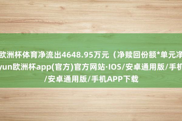欧洲杯体育净流出4648.95万元（净赎回份额*单元净值）-kaiyun欧洲杯app(官方)官方网站·IOS/安卓通用版/手机APP下载